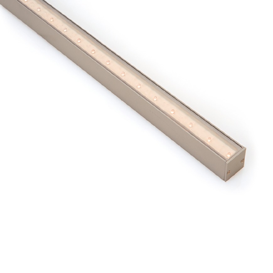 linea